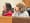 Whitehall Township official charged with using office to harass neighbors with whom she had a dispute