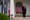 Lehigh Valley Political Pulse | Trump and the media